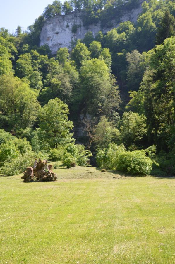 Moulin De La Cuse - Chambre La Cuse Cusance Extérieur photo